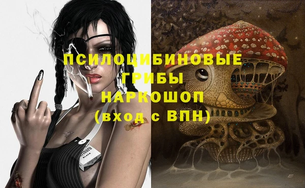 марки lsd Гусиноозёрск