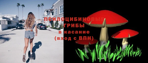 марки lsd Гусиноозёрск