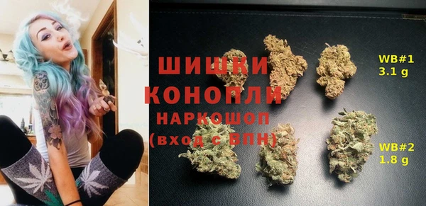 мяу мяу мука Гусь-Хрустальный