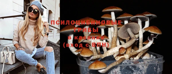 марки lsd Гусиноозёрск