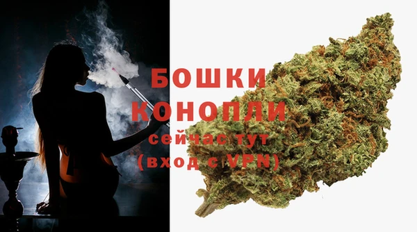 мяу мяу мука Гусь-Хрустальный