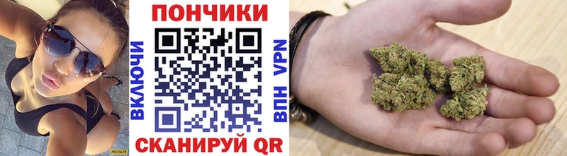 Купить закладки  Балахна  Бошки марихуана гибрид 